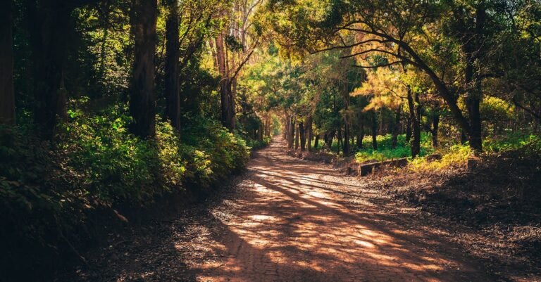 Reach Your Beauty Potential With This Advice