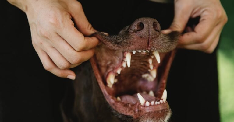 Teeth Whitening Tips That Can Change Your Life!