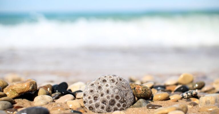 Read This Great Guide On How To Stay Young And Beautiful